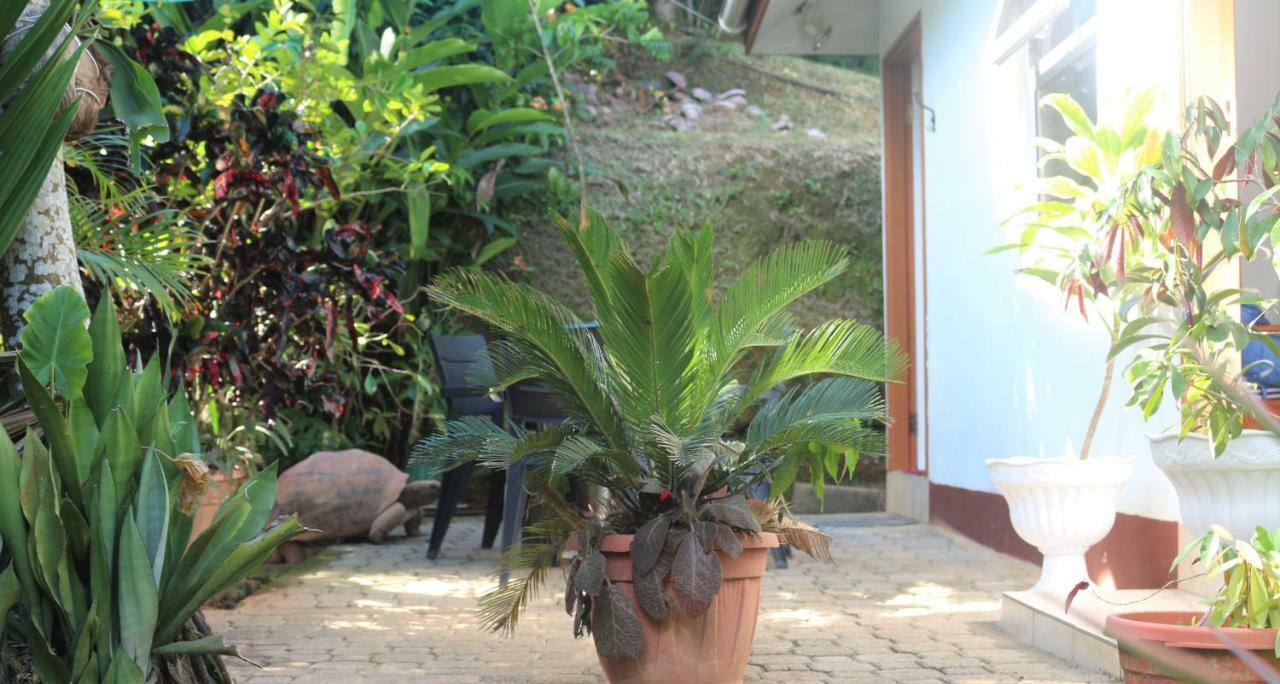 Garden Hut Apartment Victoria Luaran gambar
